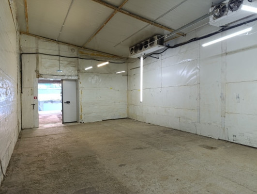 Сдам коммерческое помещение 245 м2, Алтайская 1-я ул, 29А, Калининград г