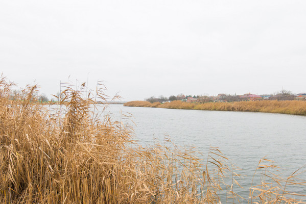 Продам участок 27 соток, ИЖС, Шаумяна ул, 20, Большие Салы с, 0 км от города