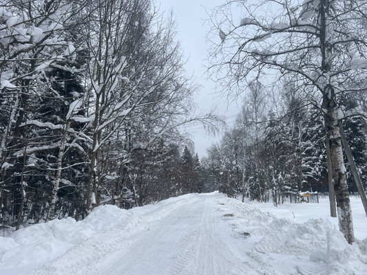 Продам участок 6 соток, Садоводство, СНТ Полянка Наро-Фоминский леспромхоз тер, Александровка п, 0 км от города