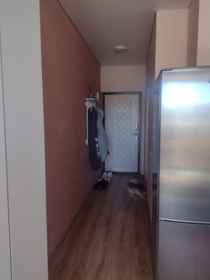 Сдам однокомнатную (1-комн.) квартиру, Красина ул, 53, Цемдолина с