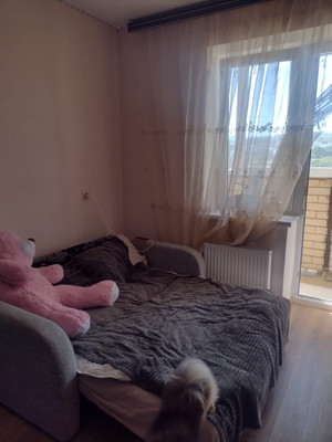 Сдам однокомнатную (1-комн.) квартиру, Красина ул, 53, Цемдолина с