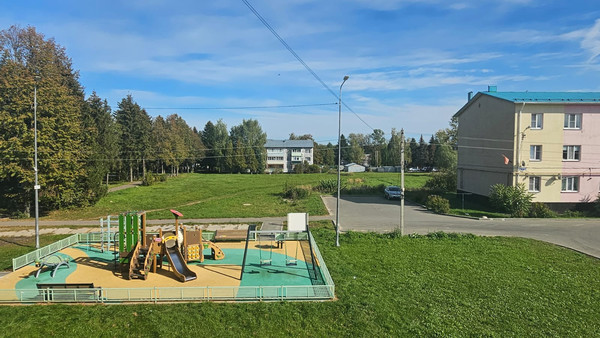Продам однокомнатную (1-комн.) квартиру, Новоселов ул, 4, Алфимово д