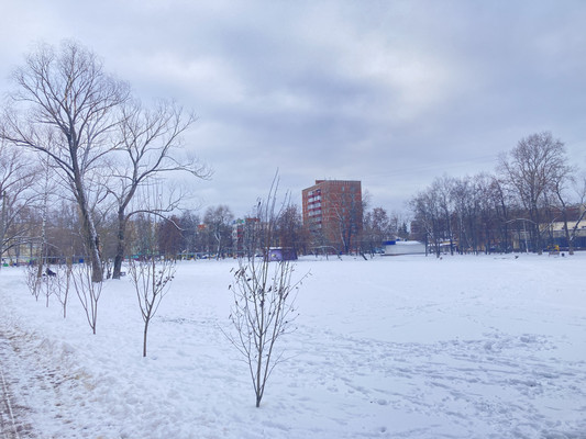 Продам однокомнатную (1-комн.) квартиру, Коминтерна ул, 17, Раменское г