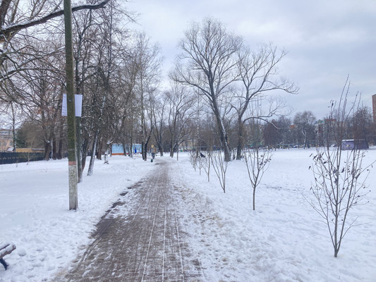 Продам однокомнатную (1-комн.) квартиру, Коминтерна ул, 17, Раменское г