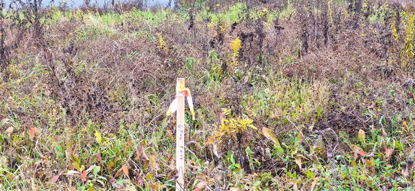 Продам участок 5 соток, ИЖС, Матчино д, 0 км от города