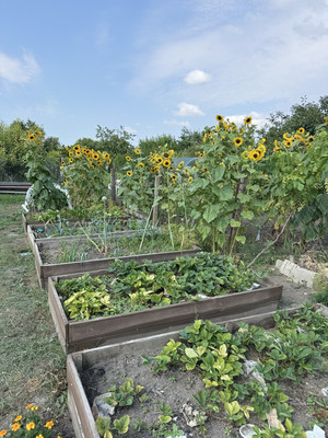 Продам коттедж, Кубанская ул, 26, Гостагаевская ст-ца, 0 км от города