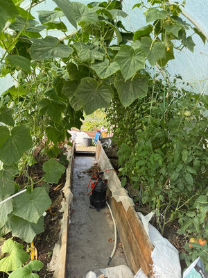 Продам коттедж, Кубанская ул, 26, Гостагаевская ст-ца, 0 км от города