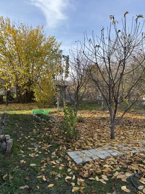 Продам дачу, Центральная (13 завода им Седина снт) ул, 316, Краснодар г, 0 км от города