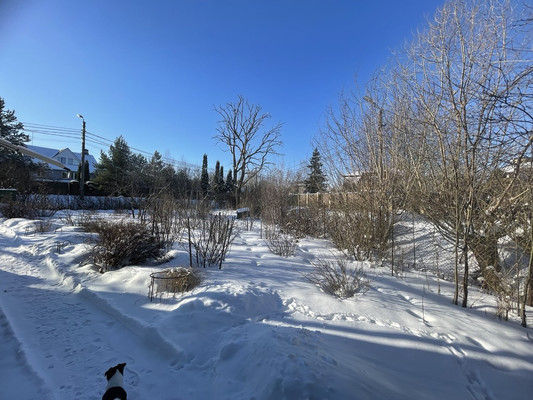 Продам участок 15,6 соток, ИЖС, Александровская ул, 6, Петергоф г, 0 км от города