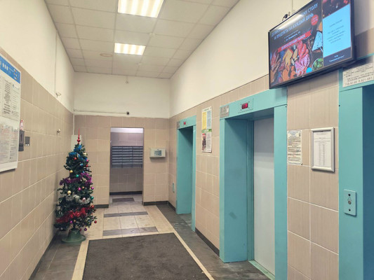 Продам однокомнатную (1-комн.) квартиру, Богатырский пр-кт, 49Ак1, Санкт-Петербург г