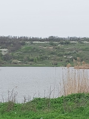 Продам участок 17 соток, ИЖС, Братская ул, 5, Веселый п, 0 км от города