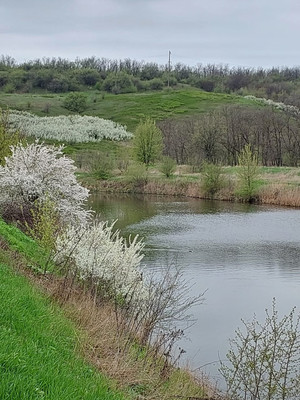 Продам участок 17 соток, ИЖС, Братская ул, 5, Веселый п, 0 км от города