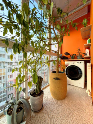 Продам однокомнатную (1-комн.) квартиру, Тихая ул, 55а, Калининград г