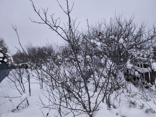 Продам участок 4,5 соток, ИЖС, 34б, Крекшино п, 0 км от города