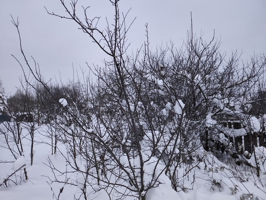 Продам участок 4,5 соток, ИЖС, 34б, Крекшино п, 0 км от города