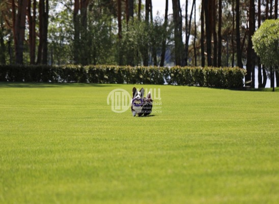 Продам участок 47,62 соток, Садоводство, Можайск тер. СНТ, Красновидово д, 0 км от города