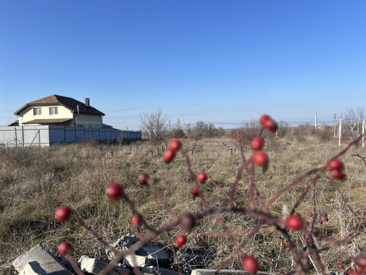 Продам участок 10 соток, ИЖС, Черноморская ул, 70, Мирное с, 0 км от города