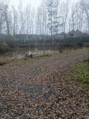 Продам дачу, 97, Белозериха д, 0 км от города