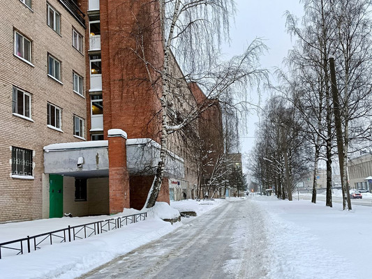 Продам двухкомнатную (2-комн.) квартиру, Литовская ул, 8А, Санкт-Петербург г