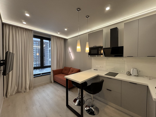 Сдам однокомнатную (1-комн.) квартиру, Белоостровская ул, 12к1, Санкт-Петербург г