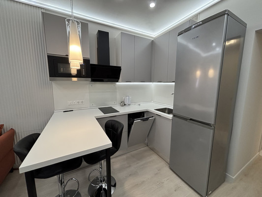 Сдам однокомнатную (1-комн.) квартиру, Белоостровская ул, 12к1, Санкт-Петербург г