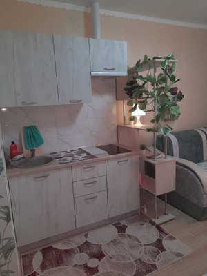 Сдам однокомнатную (1-комн.) квартиру, Красина ул, 53, Цемдолина с