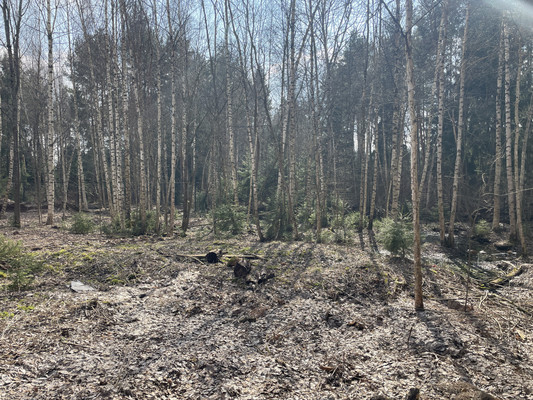 Продам участок 11,8 соток, ИЖС, Красновидово д, 0 км от города