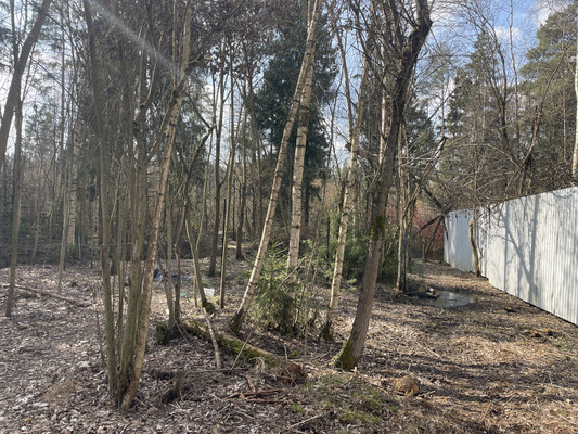 Продам участок 11,8 соток, ИЖС, Красновидово д, 0 км от города