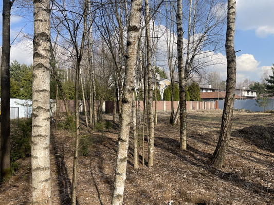 Продам участок 11,8 соток, ИЖС, Красновидово д, 0 км от города