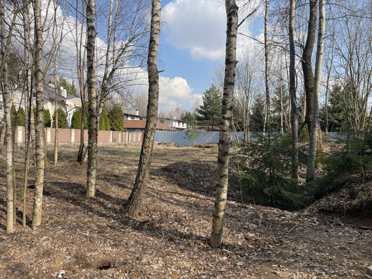 Продам участок 11,8 соток, ИЖС, Красновидово д, 0 км от города