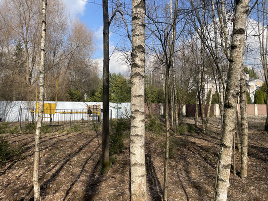 Продам участок 11,8 соток, ИЖС, Красновидово д, 0 км от города