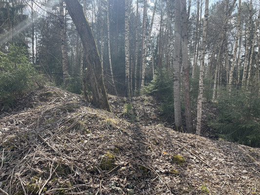 Продам участок 11,8 соток, ИЖС, Красновидово д, 0 км от города