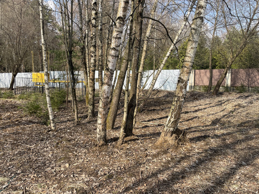 Продам участок 11,8 соток, ИЖС, Красновидово д, 0 км от города