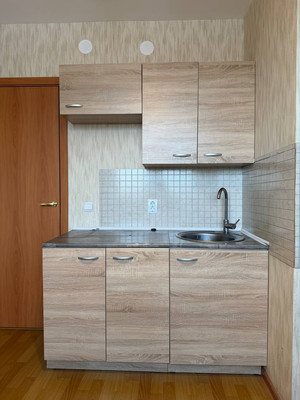 Продам однокомнатную (1-комн.) квартиру, Загородная ул, 37к2, Понтонный п