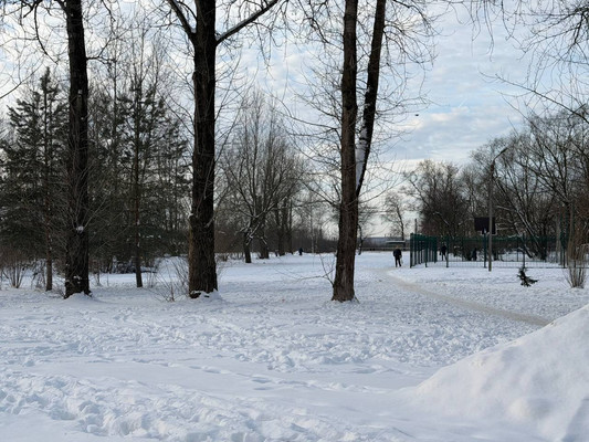 Продам однокомнатную (1-комн.) квартиру, Загородная ул, 37к2, Понтонный п