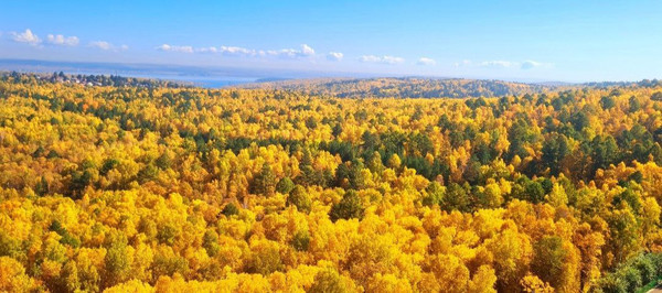 Продам однокомнатную (1-комн.) квартиру, Южный парк кв-л, 5, Маркова рп