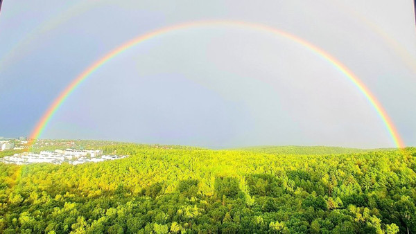 Продам однокомнатную (1-комн.) квартиру, Южный парк кв-л, 5, Маркова рп
