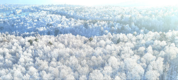 Продам однокомнатную (1-комн.) квартиру, Южный парк кв-л, 5, Маркова рп