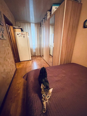 Продам двухкомнатную (2-комн.) квартиру, Мерецкова-Волосова ул, 1, Великий Новгород г