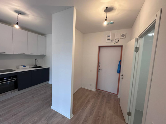 Продам однокомнатную (1-комн.) квартиру, 1-й Стрелковый пер, 5, Мытищи г