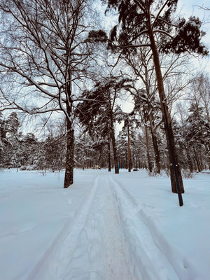 Продам трехкомнатную (3-комн.) квартиру, Весёлая ул, 35, Москва г