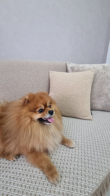 Продам двухкомнатную (2-комн.) квартиру, Комарова б-р, 1ке, Ростов-на-Дону г