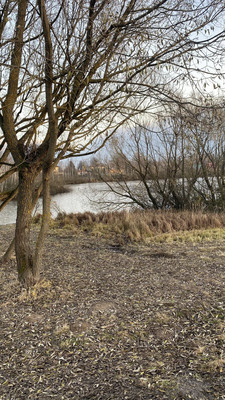 Продам дом, 11а, квартал Дмитровский тер, 0 км от города