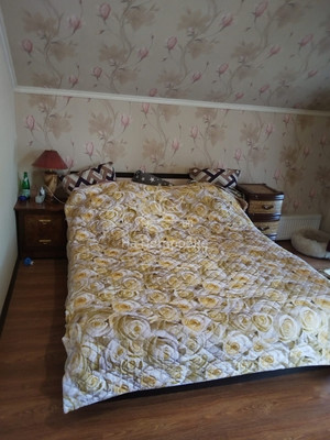 Продам дом, Волшебная страна тер. ДНТ, 15, Пролетарский рп, 0 км от города