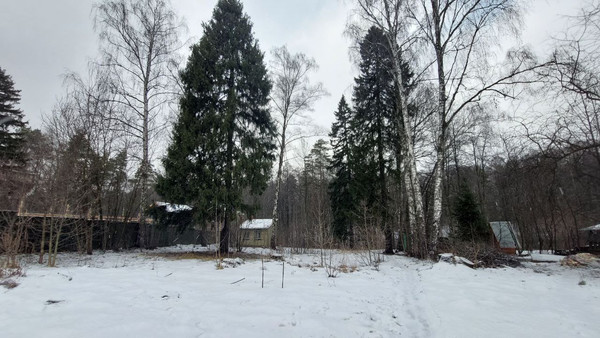Продам участок 41 соток, ИЖС, Молодой Ленинец (Кучино мкр.) ул, 12, Балашиха г, 0 км от города