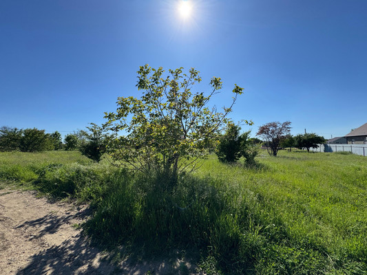 Продам участок 6 соток, ИЖС, Вита снт, Васильевка с, 0 км от города