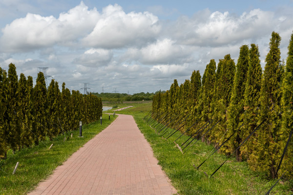 Продам двухкомнатную (2-комн.) , Осенняя ул, 2к16, Ласкино п