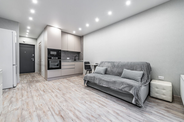 Продам однокомнатную (1-комн.) квартиру, Новгородский пр-кт, 2к3, Шушары п