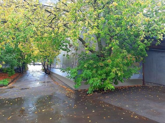 Продам коммерческое помещение 473,9 м2, Научный проезд, 8 6, Москва г