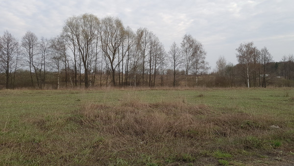 Продам участок 15,81 соток, ИЖС, Осенняя ул, Осеченки д, 0 км от города